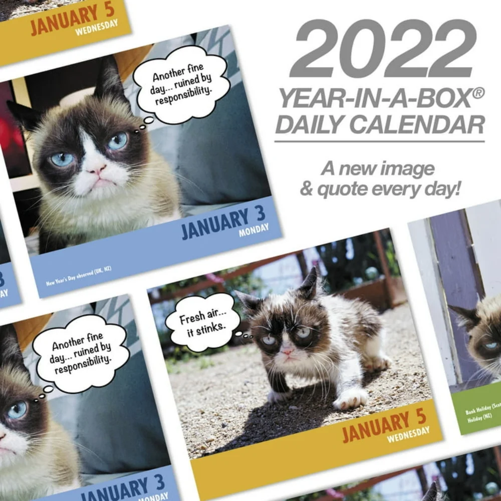 Grumpy cat 2022 calendar